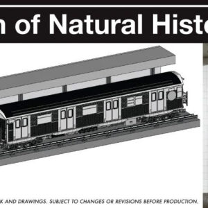 Rapido New York City Subway Train R-32 with 81 St Museum of Natural History D Train