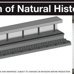 81 Street Museum of Natural History